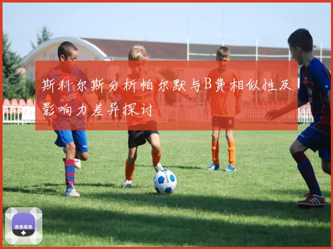 斯科尔斯分析帕尔默与B费相似性及影响力差异探讨