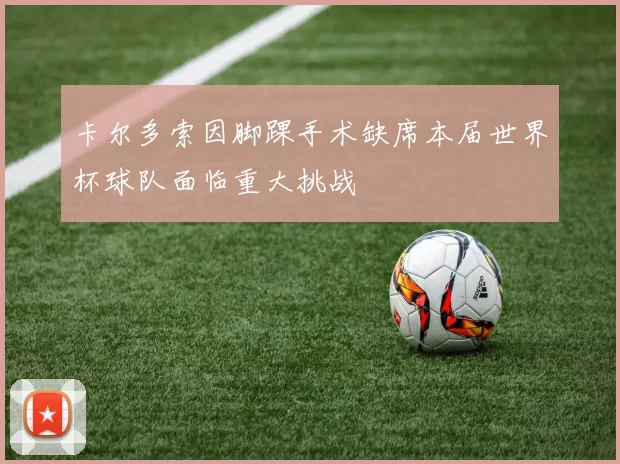 卡尔多索因脚踝手术缺席本届世界杯球队面临重大挑战